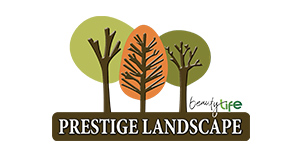Prestige LandScape